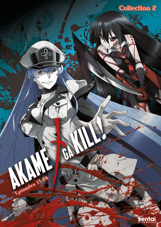 Akame Ga Kill 2 - 3535