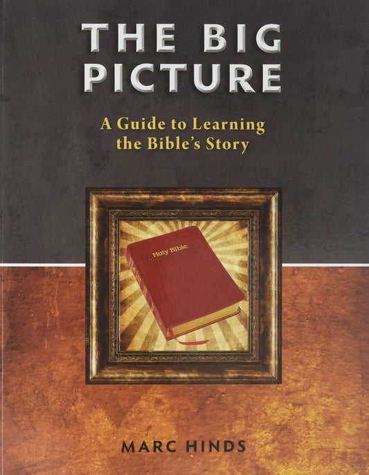 The Big Picture: A Guide To Learning the Bible's Story - 9416