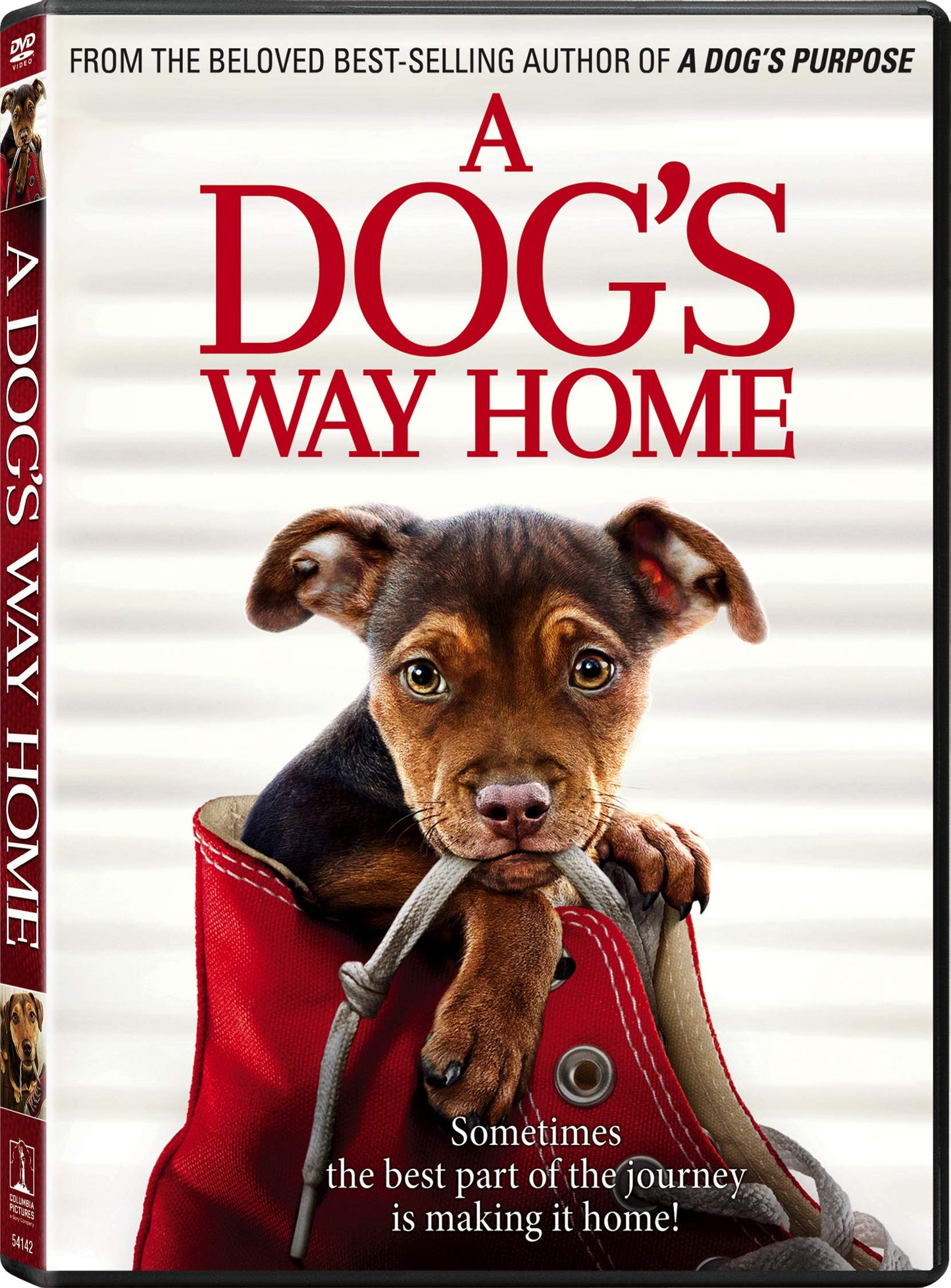A Dog's Way Home [DVD] - 9259