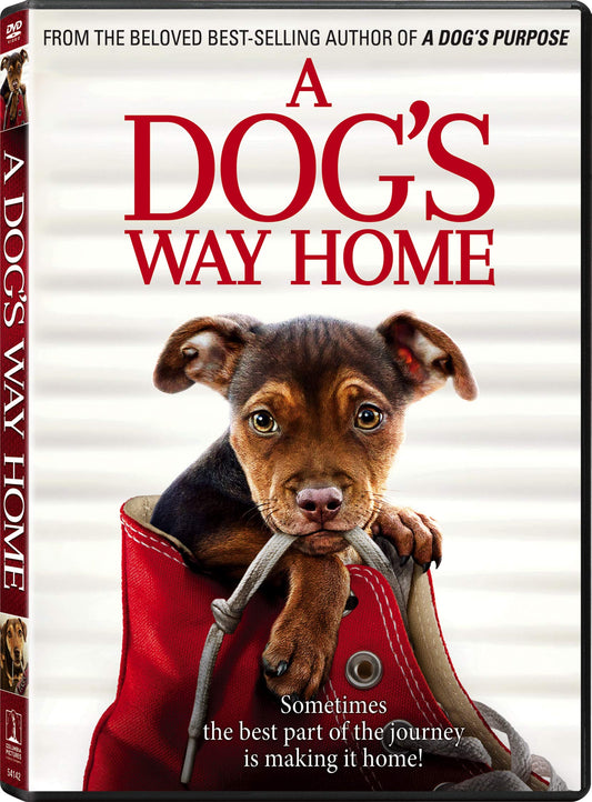 A Dog's Way Home [DVD] - 9259
