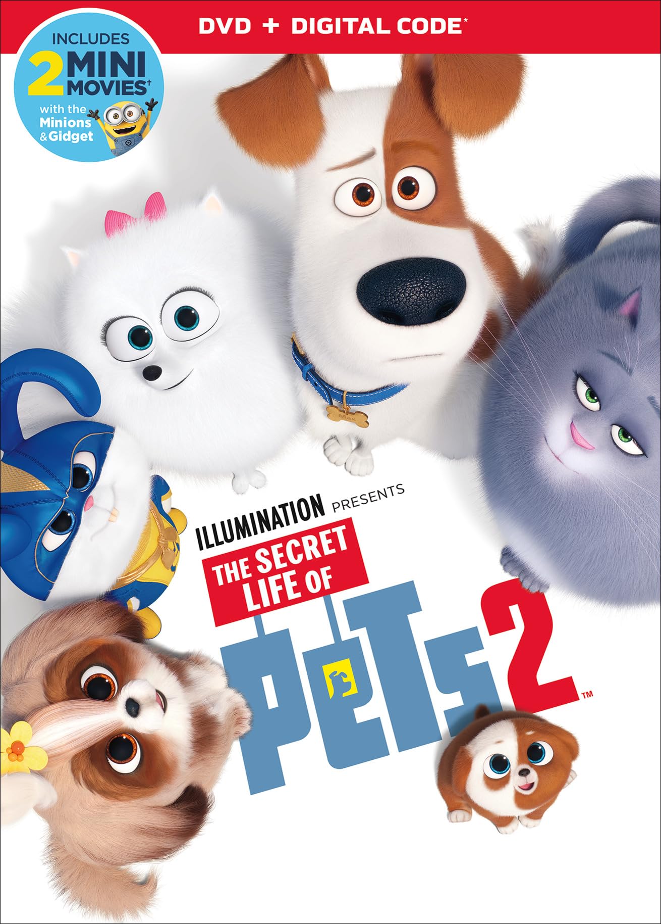 The Secret Life of Pets 2 [DVD] The Happy Book Stack