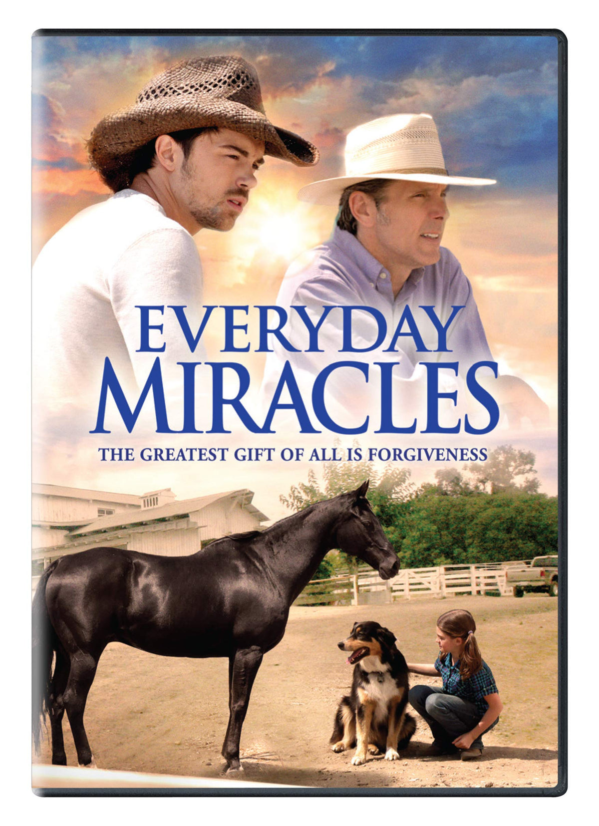 EVERYDAY MIRACLES DVD The Happy Book Stack
