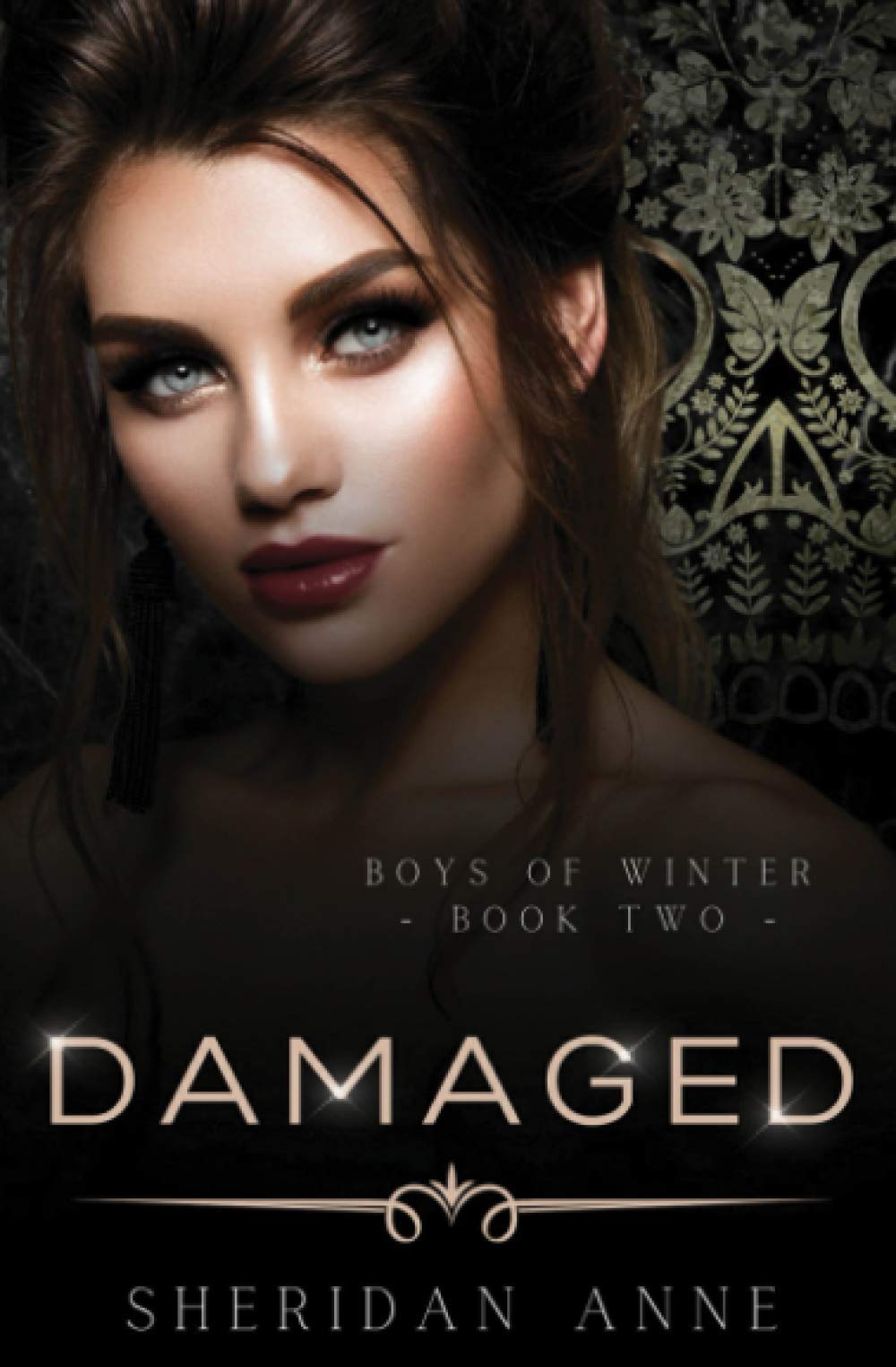 Damaged: A Dark Enemies to Lovers Reverse Harem Romance (Boys Of Winter) The Happy Book Stack