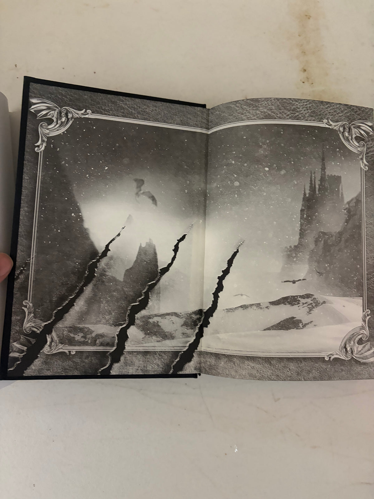 Fourth Wing by Rebecca Yarros – Exclusive Holiday Edition Hardcover with Bonus Content (Empyrean #1) Red Tower Books