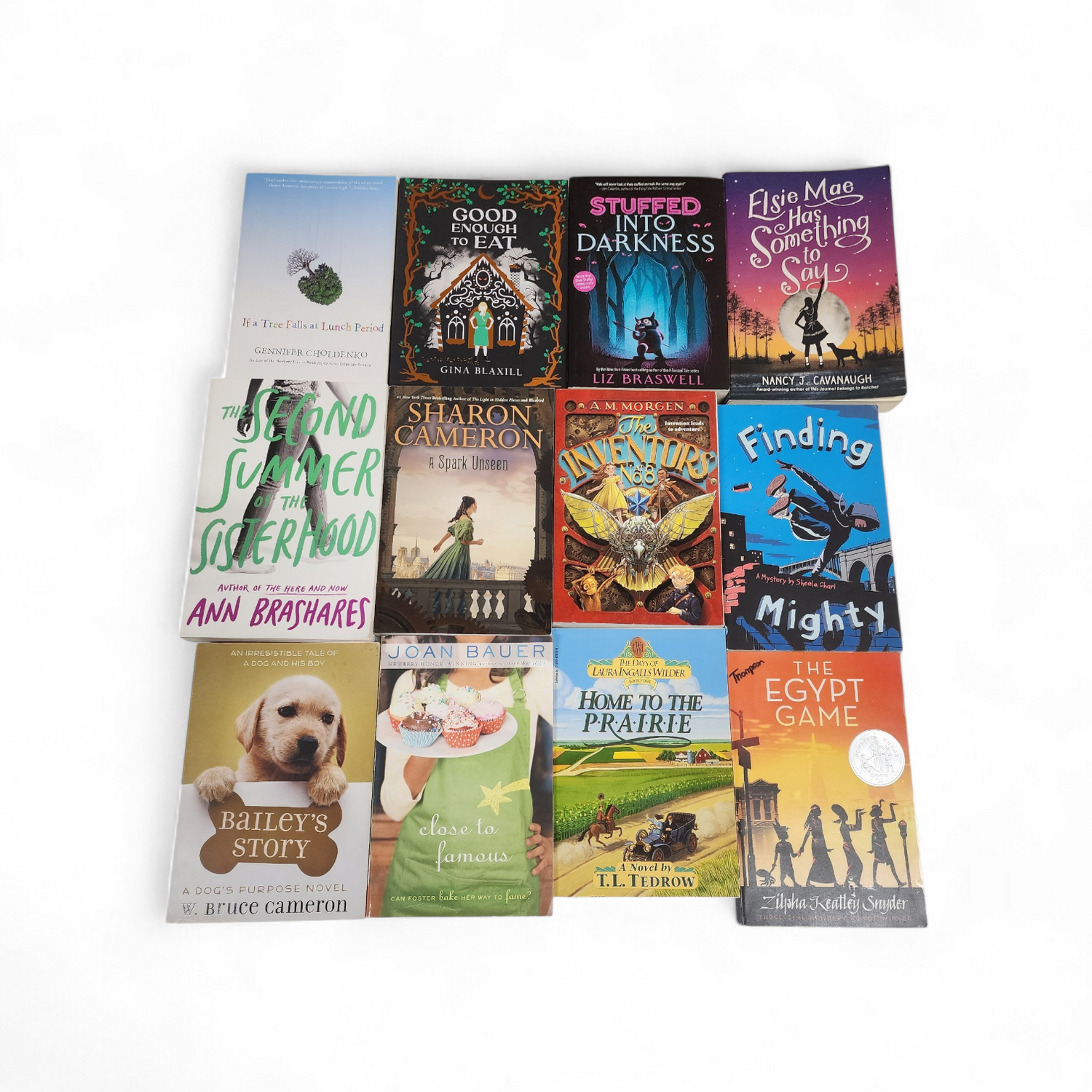 Young Adult Lot Softcover The Happy Book Stack